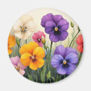 Search for pansies magnets Blossoms