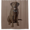 Search for labrador retriever shower curtains Pets
