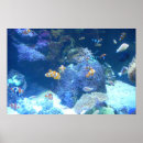 Search for under sea posters Ocean