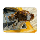 Search for dog car magnets Pet lover
