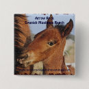 Search for stallions badges Equine