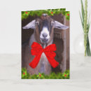 Search for goat christmas cards Farm