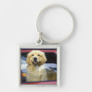 Search for window key rings Red