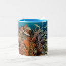 Search for coral color mugs Colorful