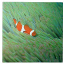 Search for side view tiles Swimming