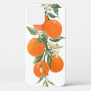 Search for citrus fruit iphone cases Illustration