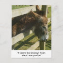 Search for relative quantity postcards Humour