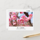 Search for plums postcards Pink