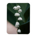 Search for belles magnets Flower