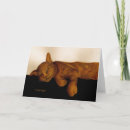 Search for napping pet supplies Animals