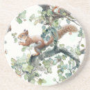 Search for squirrel coasters Woodland