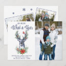 Search for oh what a year christmas cards Watercolor
