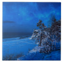 Search for winter snow scene coasters Forest