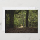 Search for forests cards Deer