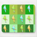 Search for parakeet electronics Budgies