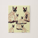 Search for siamese cat Kids