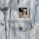 Search for farm animals badges Sheep