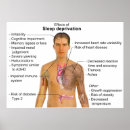 Search for human body diagram posters Doctor