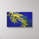 Search for sea horse canvas prints Fish