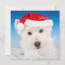 Search for beard christmas cards Westie