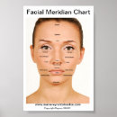 Search for meridian chart posters Acupressure