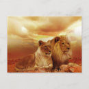 Search for safari postcards Africa