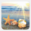 Search for sea shell stickers Starfish