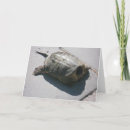 Search for giant birthday cards Wildlife
