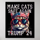 Search for meme posters America