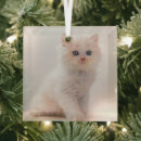 Search for eye glasses christmas tree decorations Pet