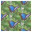 Search for blue butterflies fabric Colourful