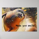 Search for seals art Under the sea