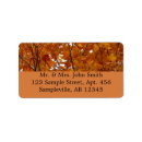 Search for tree branch return address labels Leaves