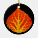 Search for aspen colorado christmas tree decorations Autumn