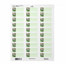 Search for maltipoo return address labels Maltese