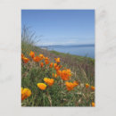 Search for washington travel postcards Beach