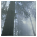 Search for national park tiles Mist