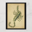 Search for scorpios postcards Constellation