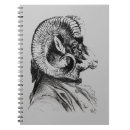 Search for bighorn Steampunk
