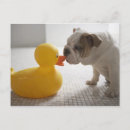 Search for bathroom postcards Indoors