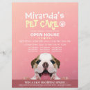 Search for grooms flyers Pet grooming