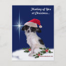 Search for papillon christmas cards Butterfly