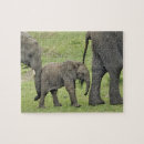 Search for african elephant puzzles Baby