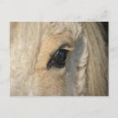 Search for curls postcards Curly