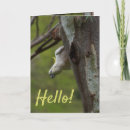 Search for cute bird cards Cockatoo