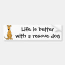 Search for greyhound bumper stickers Funny