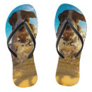 Search for pet gifts Dog