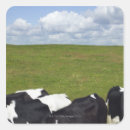 Search for pasture stickers Nature