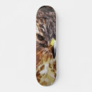 Search for hawk skateboards Birds