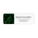 Search for fern leaves return address labels Botanical